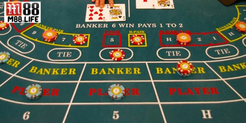 Các cửa cược cơ bản được cung cấp trong tựa game để bạn đầu tư.