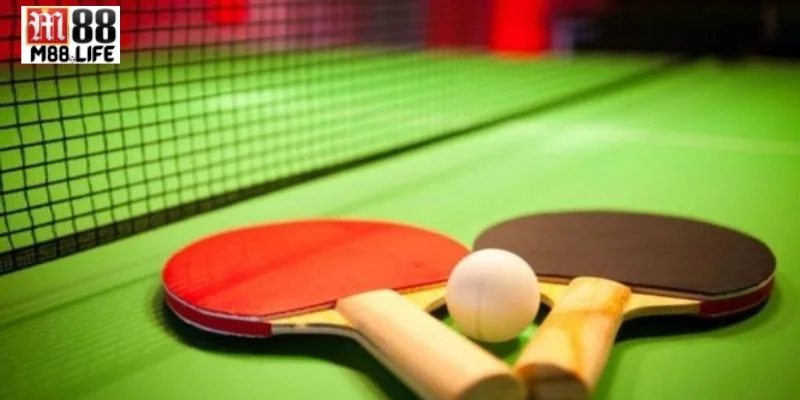 Cá độ bóng bàn là kèo chơi hấp dẫn tại sàn cược M88. 