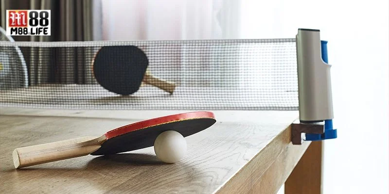 Các dạng kèo trong bóng bàn rất đa dạng lựa chọn. 