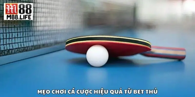 Cá cược bóng bàn M88 muốn thắng lớn cần có kỹ năng soi kèo khôn ngoan. 