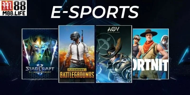Thông tin chính của esport M88 giúp bạn hiểu rõ hơn.