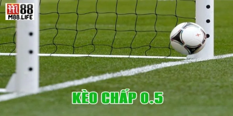 Kèo tài nửa trái là dạng kèo chơi hấp dẫn tại nhà cái M88. 